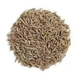 SEERAGAM